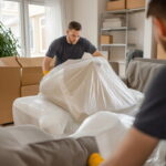 Ensuring a Smooth Transition with Professional Movers